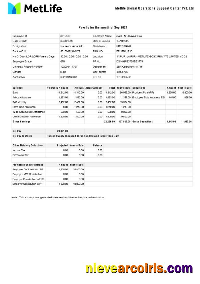 Metlife Global Operations Support Center payslip